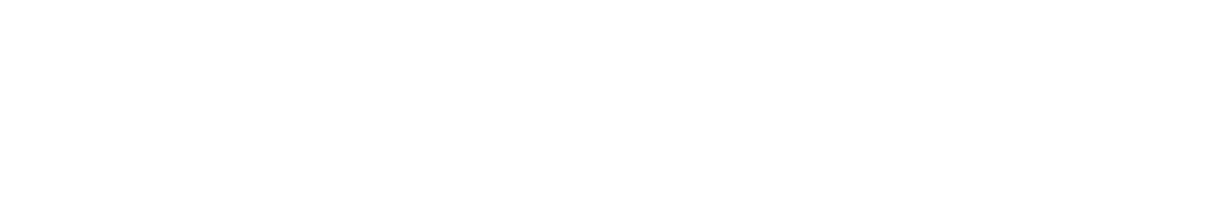 Iurie Bitca logo