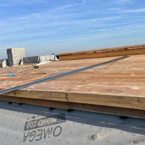 WhatsApp Image 2023-11-22 at 5.21.17 PM