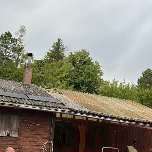 WhatsApp Image 2023-11-22 at 5.41.09 PM