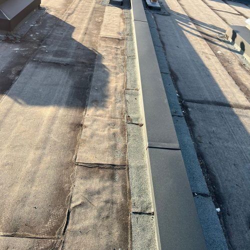 WhatsApp Image 2023-11-22 at 5.41.19 PM (1)