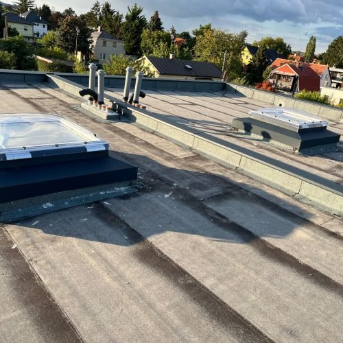 WhatsApp Image 2023-11-22 at 5.41.19 PM